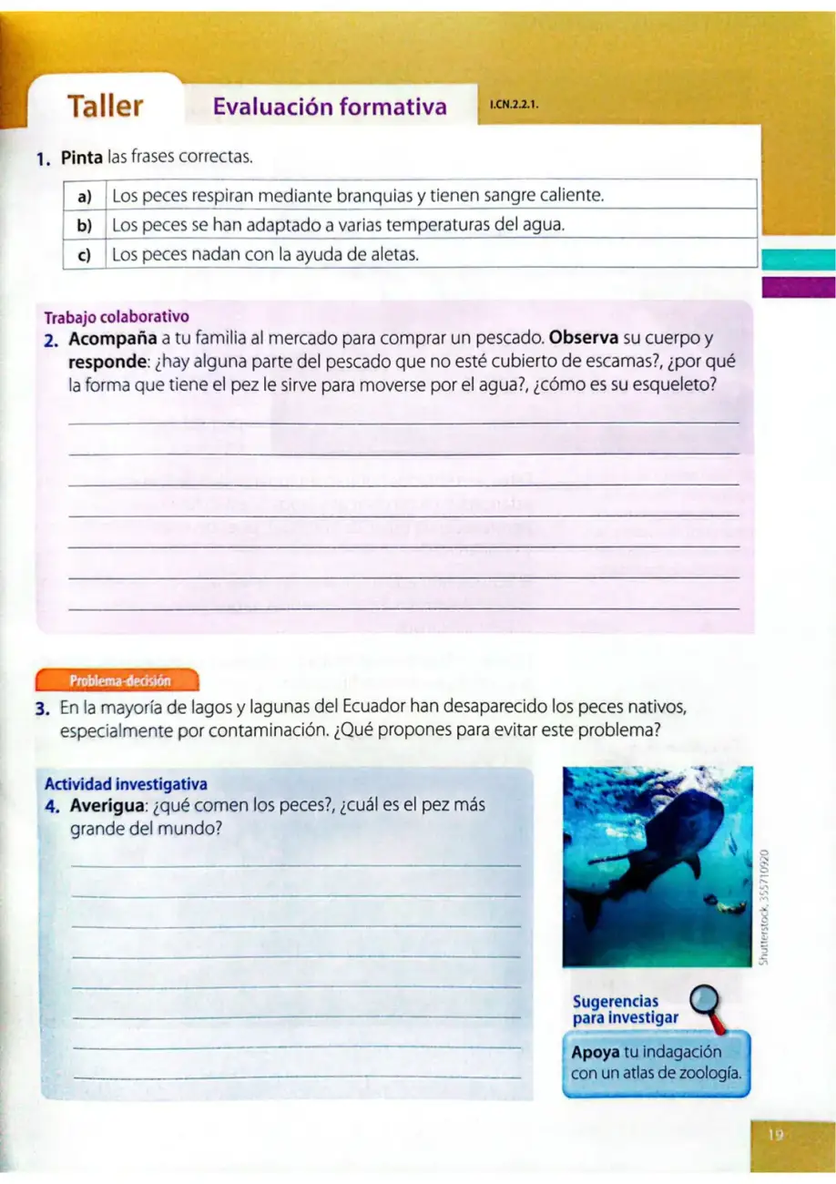 Página 16