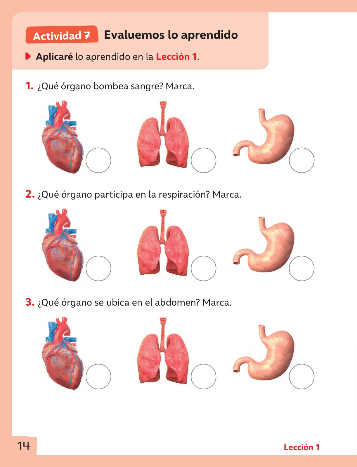 Pág 15