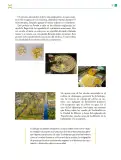 Miniatura página 38 de Colección Nanahuatzin. De lo humano y lo comunitario.   Libro de Educación Telesecundaria Grado 3°  Ciclo Escolar 2025 - 2026