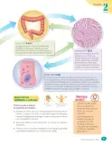 Miniatura página 143 de Libro de Ciencias Naturales – Quinto Básico | Texto del Estudiante MINEDUC – Descargar PDF · 2024
