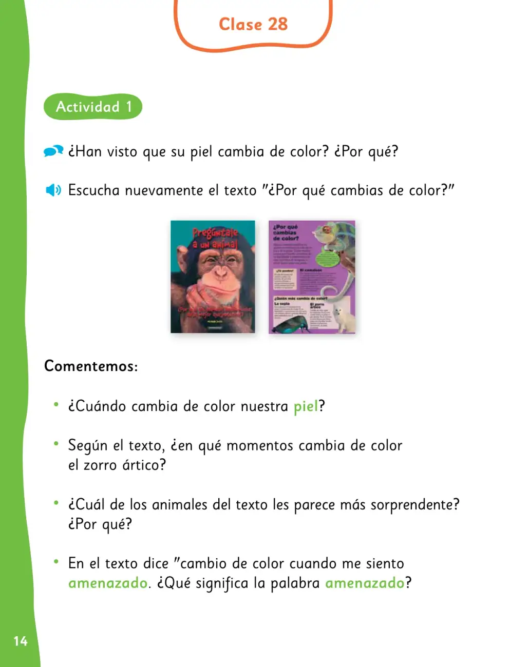 Página 17