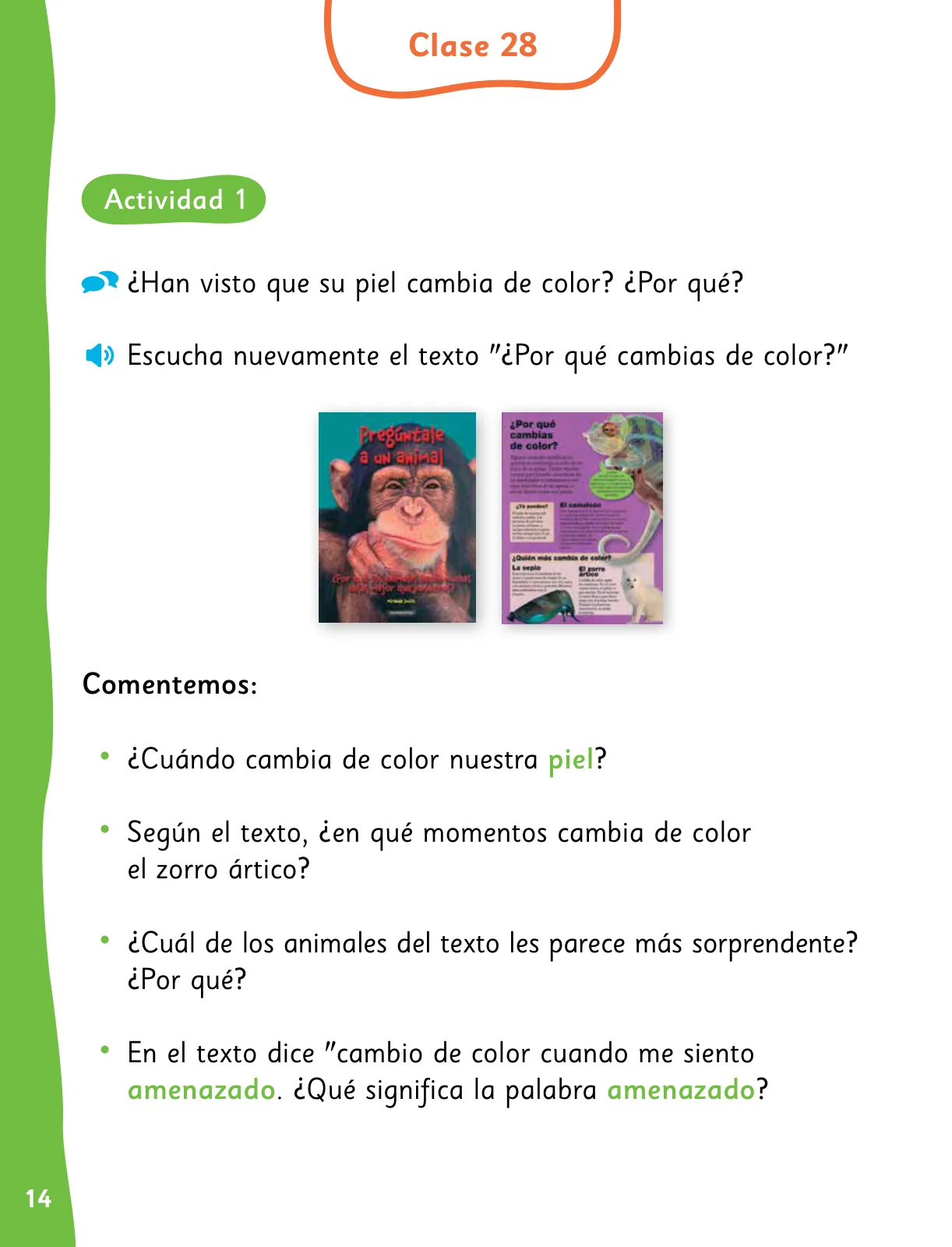 Página 17