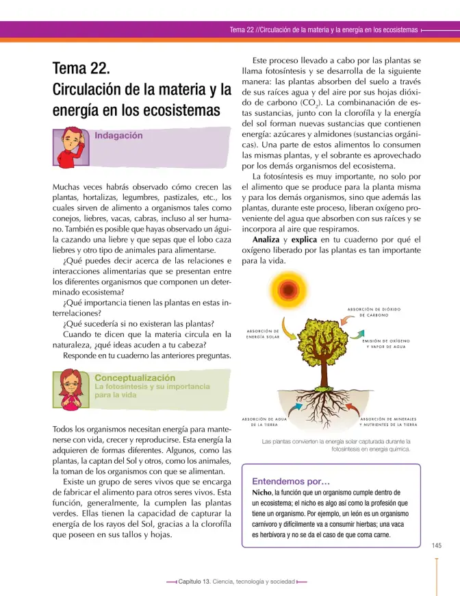 Página 147 de Ciencias Naturales 6° · Secundaria Activa