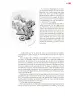 Miniatura página 144 de Colección Sk´asolil. Múltiples lenguajes.   Libro de Educación Secundaria Grado 2°  Ciclo Escolar 2025 - 2026