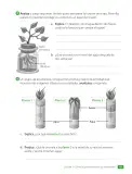 Miniatura página 45 de Ciencias Naturales – Tercero Básico | Texto del Estudiante MINEDUC – Descargar PDF · 2024