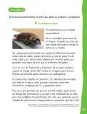 Miniatura página 84 de Lenguaje y Comunicación – Primero Básico | Texto del Estudiante MINEDUC – Descargar PDF · 2024
