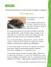 Miniatura página 84 de Lenguaje y Comunicación – Primero Básico | Texto del Estudiante MINEDUC – Descargar PDF · 2024