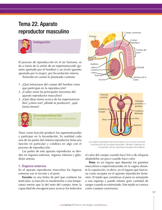 Página 127 de Ciencias Naturales 8° · Secundaria Activa