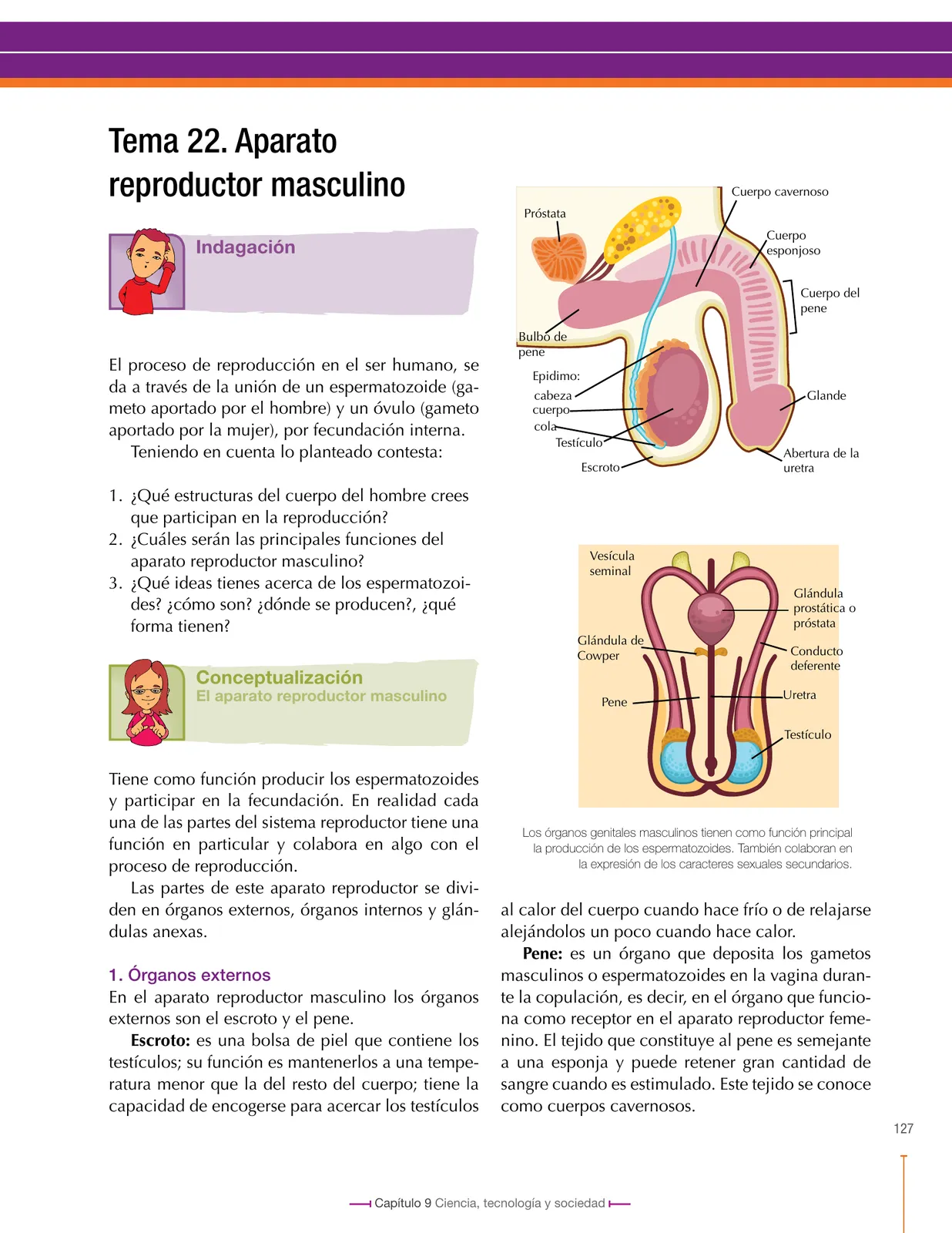 Miniatura página 127 de Ciencias Naturales 8° · Secundaria Activa