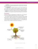 Miniatura página 149 de Ciencias Naturales 7° · Secundaria Activa