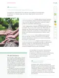 Miniatura página 250 de Nuestros saberes: Libro para alumnos, maestros y familia.   Libro de Educación Primaria Grado 6°  Ciclo Escolar 2025 - 2026