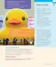 Miniatura página 19 de Lenguaje y Comunicación – Segundo Básico – Texto del Estudiante MINEDUC – Descargar PDF · 2024