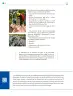 Miniatura página 155 de Colección Nanahuatzin. De lo humano y lo comunitario.   Libro de Educación Telesecundaria Grado 3°  Ciclo Escolar 2025 - 2026