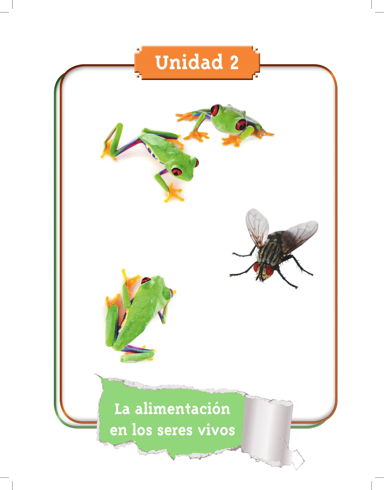 Página 35 de Ciencias Naturales 3° · Cartilla 01
