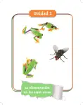 Pág 35