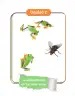 Miniatura página 35 de Ciencias Naturales 3° · Cartilla 01