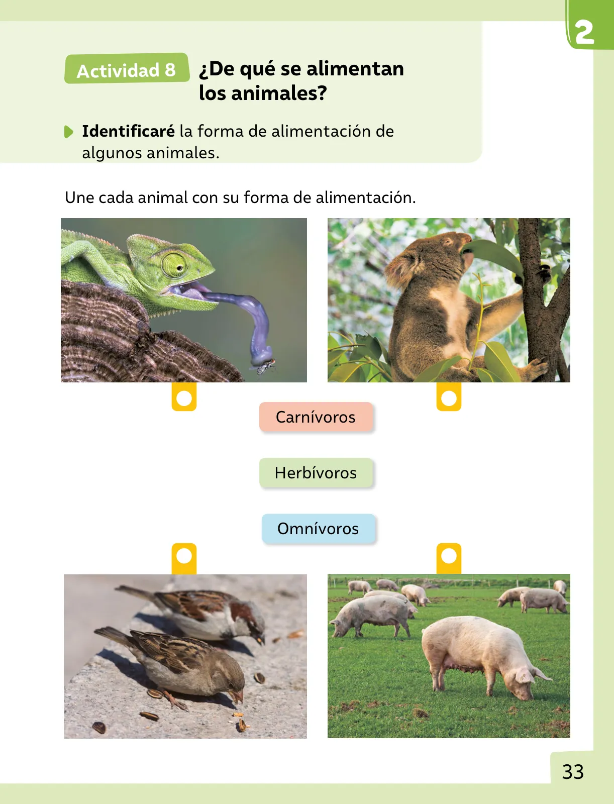 Página 34 de Ciencias Naturales – Primero Básico | Texto del Estudiante (MINEDUC) – Descargar PDF · 2024
