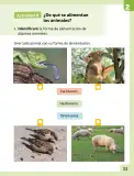 Miniatura página 34 de Ciencias Naturales – Primero Básico | Texto del Estudiante (MINEDUC) – Descargar PDF · 2024