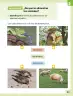 Miniatura página 34 de Ciencias Naturales – Primero Básico | Texto del Estudiante (MINEDUC) – Descargar PDF · 2024