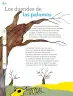 Miniatura página 99 de Múltiples lenguajes.   Libro de Educación Primaria Grado 1°  Ciclo Escolar 2025 - 2026