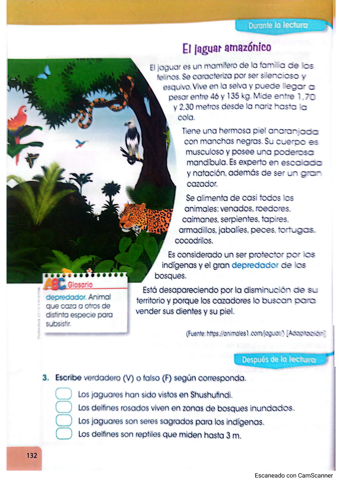 Miniatura página 126 de Lengua Y Literatura · 3 EGB · 2025