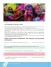 Miniatura página 7 de Ingles 3° · Bgu 3 Ingles 2024 · 2024