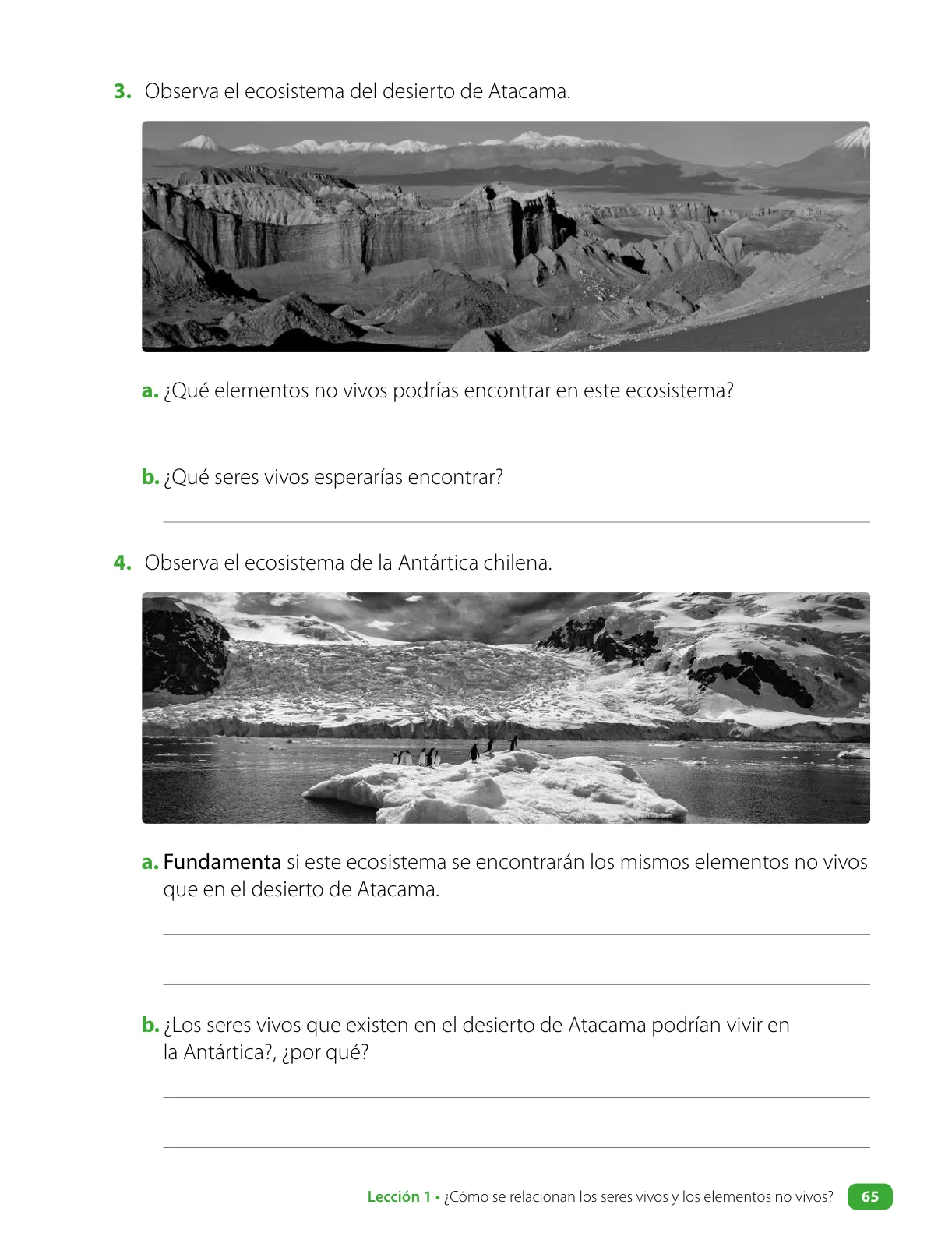 Página 67 de Ciencias Naturales – Cuarto Básico | Texto del Estudiante MINEDUC – Descargar PDF · 2024