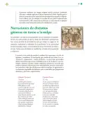 Miniatura página 148 de Colección Ximhai. Lenguajes.   Libro de Educación Telesecundaria Grado 1°  Ciclo Escolar 2025 - 2026