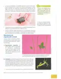 Miniatura página 68 de Ciencias Naturales 9° · 2025