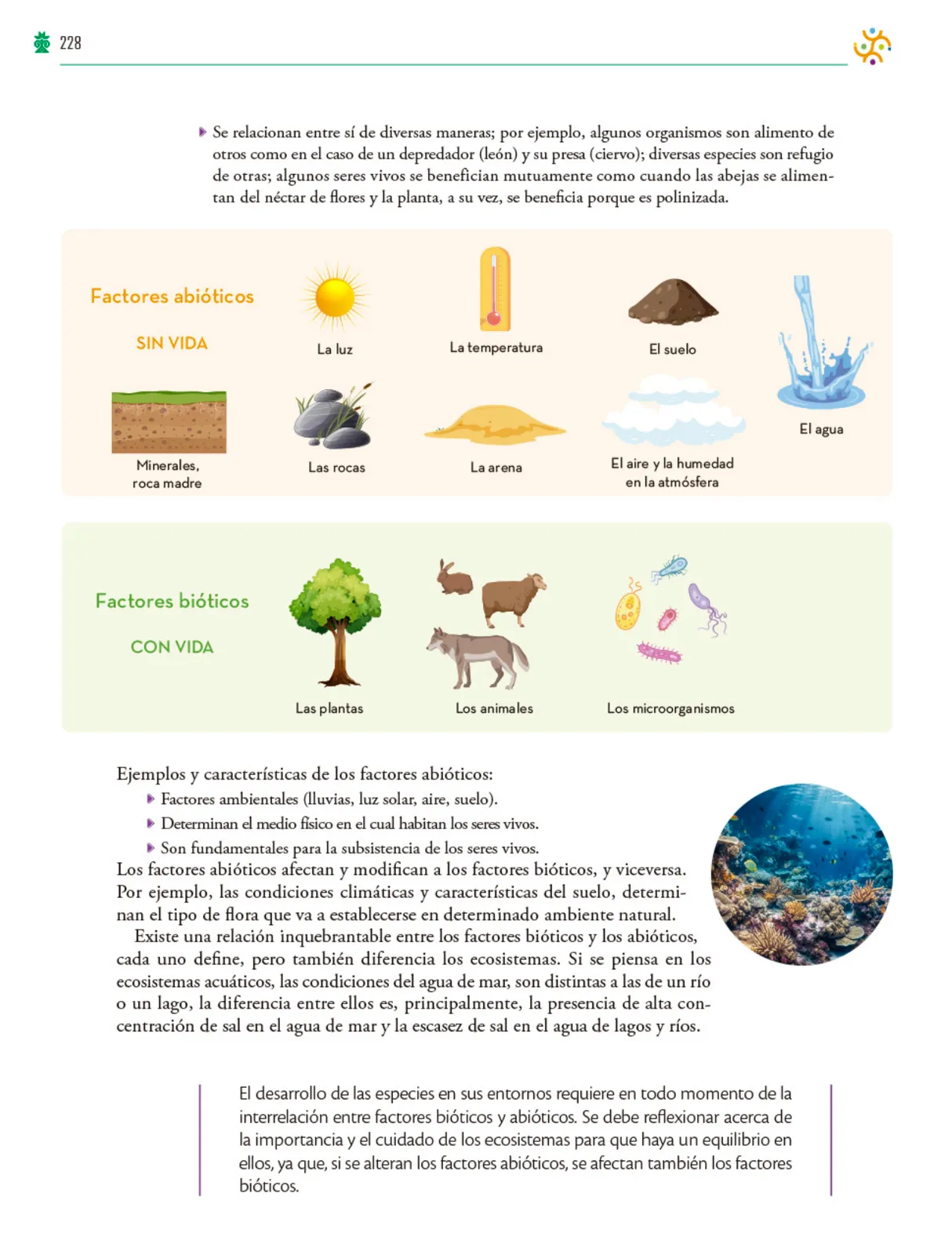 Miniatura página 229 de Colección Ximhai. Saberes y pensamiento científico.   Libro de Educación Telesecundaria Grado 1°  Ciclo Escolar 2025 - 2026
