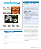 Miniatura página 61 de Sumo Primero – Tercero Básico | Texto del Estudiante MINEDUC – Descargar PDF · 2024