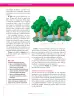 Miniatura página 56 de Ciencias Naturales 7° · Secundaria Activa
