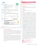 Miniatura página 25 de Sumo Primero – Tercero Básico | Texto del Estudiante MINEDUC – Descargar PDF · 2024