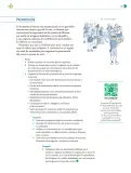 Miniatura página 40 de Colección Nanahuatzin. Nuestro libro de Proyectos.  Tomo III.  Libro de Educación Telesecundaria Grado 3°  Ciclo Escolar 2025 - 2026