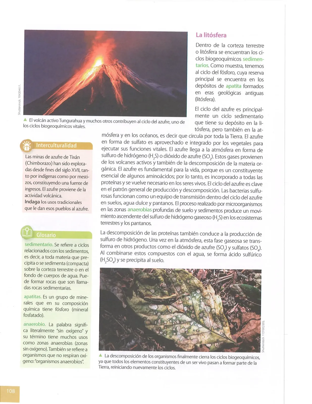 Página 107 de Ciencias Naturales · 8 EGB · 2025
