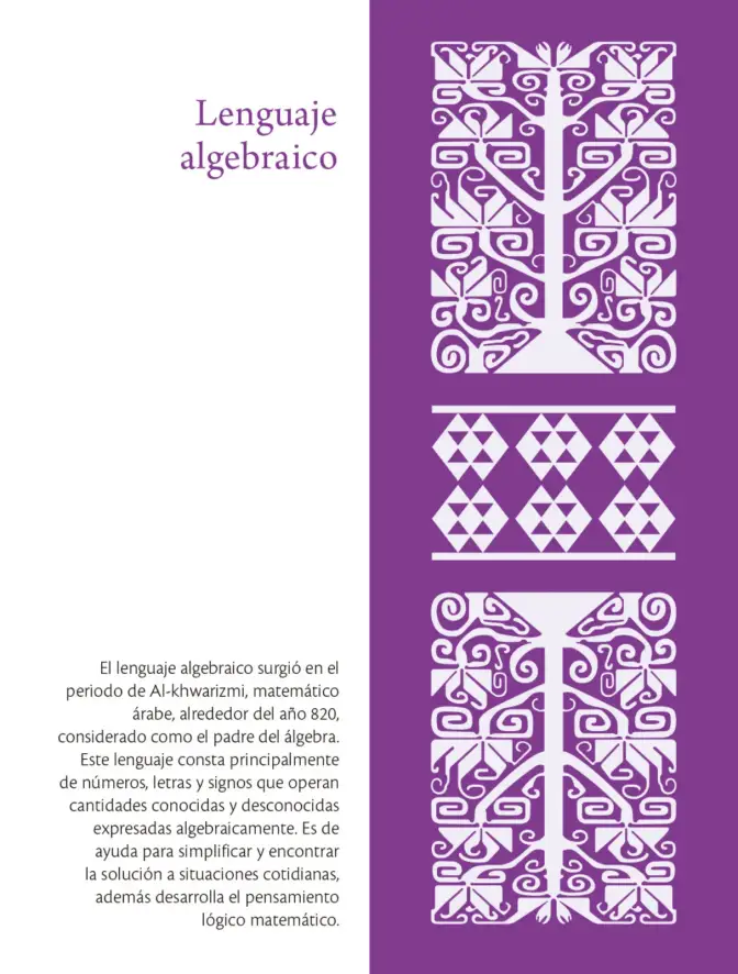 Página 81 de Colección Ximhai. Saberes y pensamiento científico. Libro de Educación Secundaria Grado 1° Ciclo Escolar 2025 - 2026