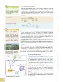 Miniatura página 95 de Ciencias Naturales 8° · Egb 8 Ciencias Naturales 2025 · 2025