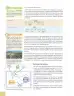 Miniatura página 95 de Ciencias Naturales 8° · Egb 8 Ciencias Naturales 2025 · 2025