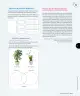 Miniatura página 14 de Ciencias Naturales – Tercero Básico | Texto del Estudiante MINEDUC – Descargar PDF · 2024