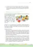 Miniatura página 25 de La planificación del proceso de enseñanza aprendizaje y la evaluación formativa en Ciclo I : guía cartilla de orientación planificación educativa · 2024