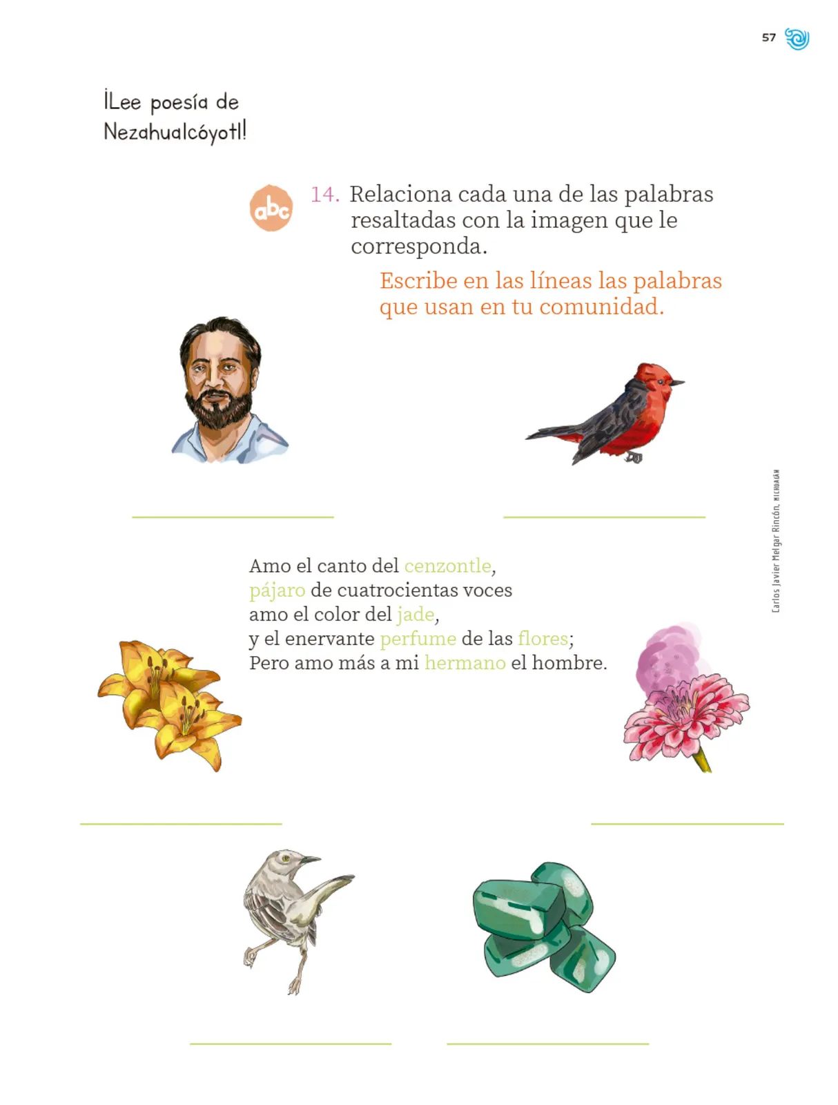 Miniatura página 58 de Múltiples lenguajes. Trazos y palabras.   Libro de Educación Primaria Grado 1°  Ciclo Escolar 2025 - 2026