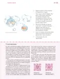 Miniatura página 248 de Nuestros saberes: Libro para alumnos, maestros y familia.   Libro de Educación Primaria Grado 3°  Ciclo Escolar 2025 - 2026
