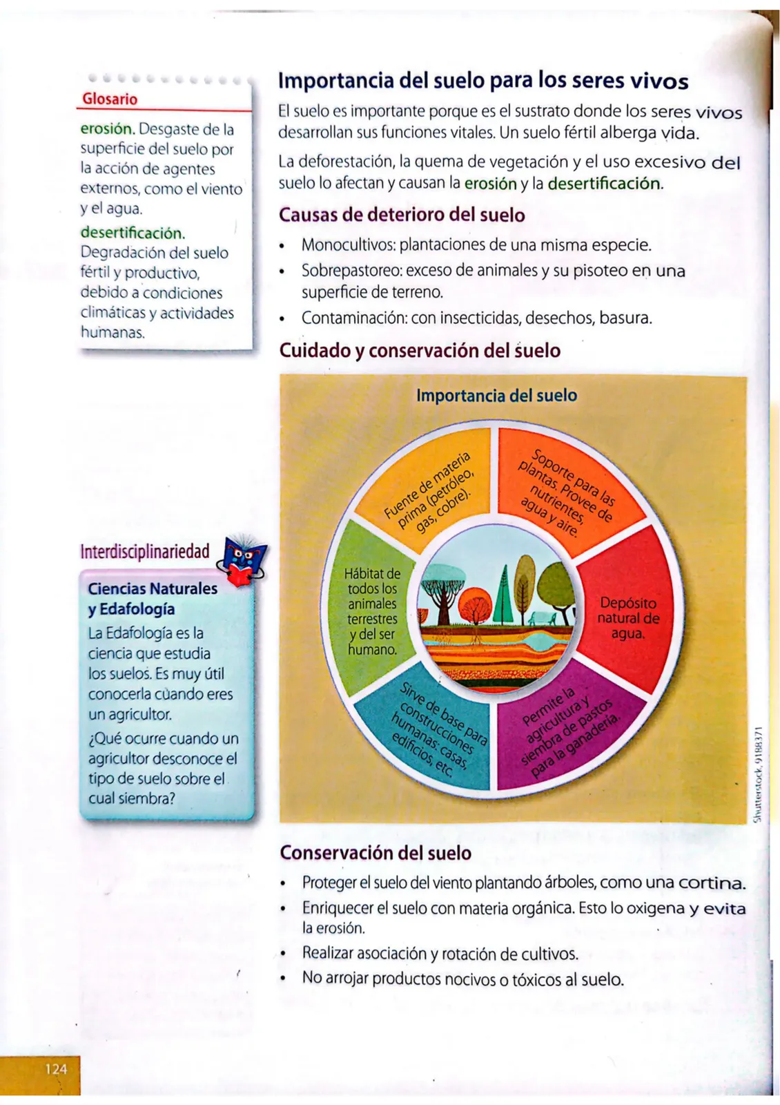 Página 121 de Ciencias Naturales · 4 EGB · 2025