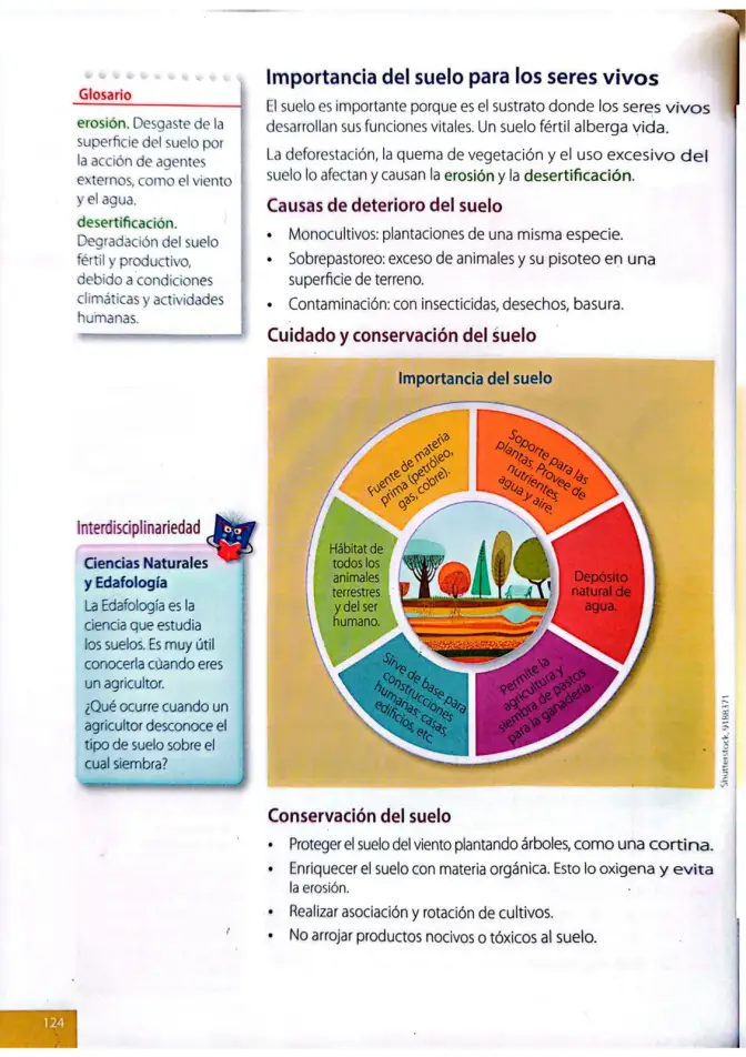 Página 121 de Ciencias Naturales 4° · Egb 4 Ciencias Naturales 2025 · 2025