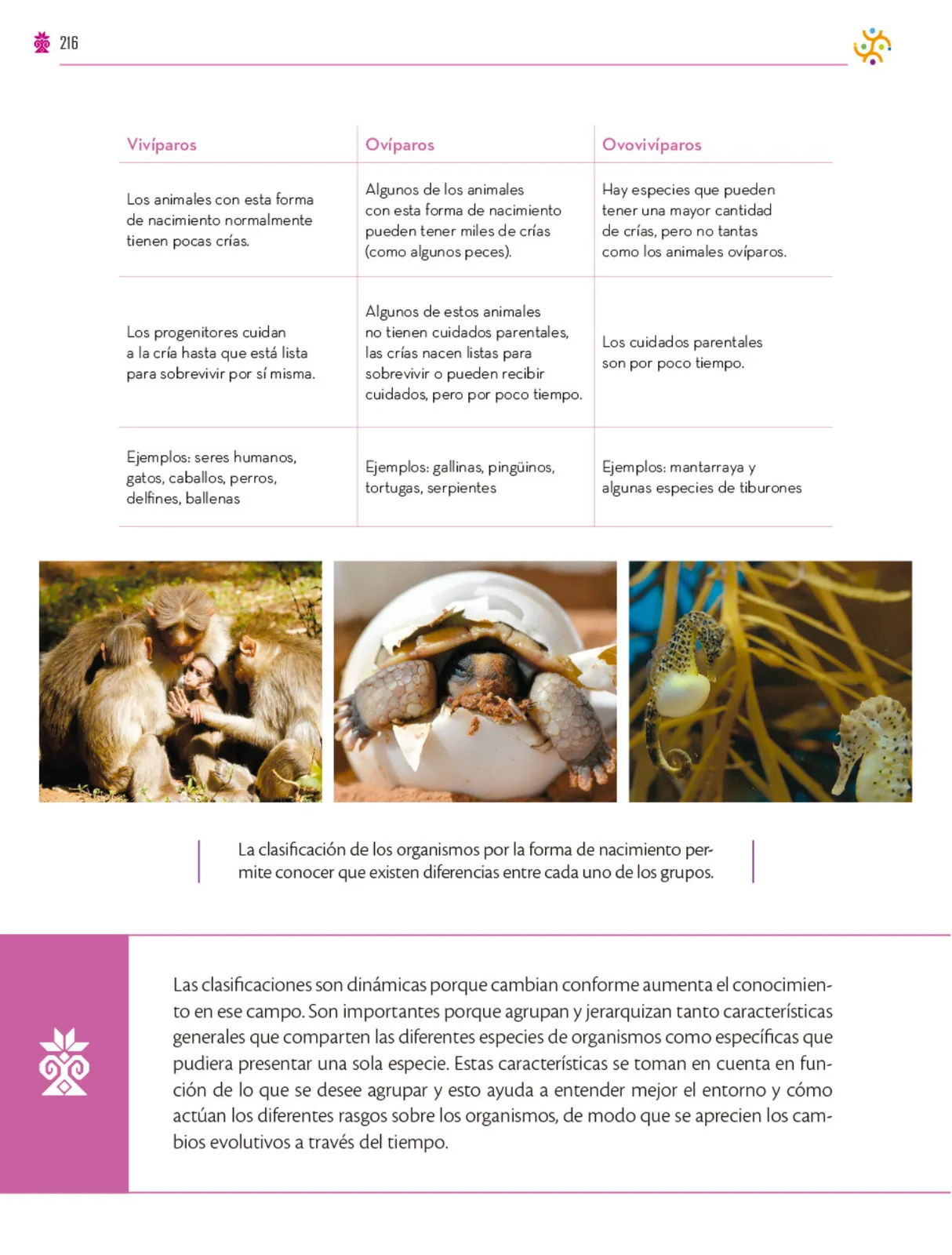Miniatura página 217 de Colección Ximhai. Saberes y pensamiento científico.   Libro de Educación Secundaria Grado 1°  Ciclo Escolar 2025 - 2026