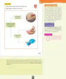 Miniatura página 30 de Ciencias Naturales – Primero Básico | Texto del Estudiante (MINEDUC) – Descargar PDF · 2024
