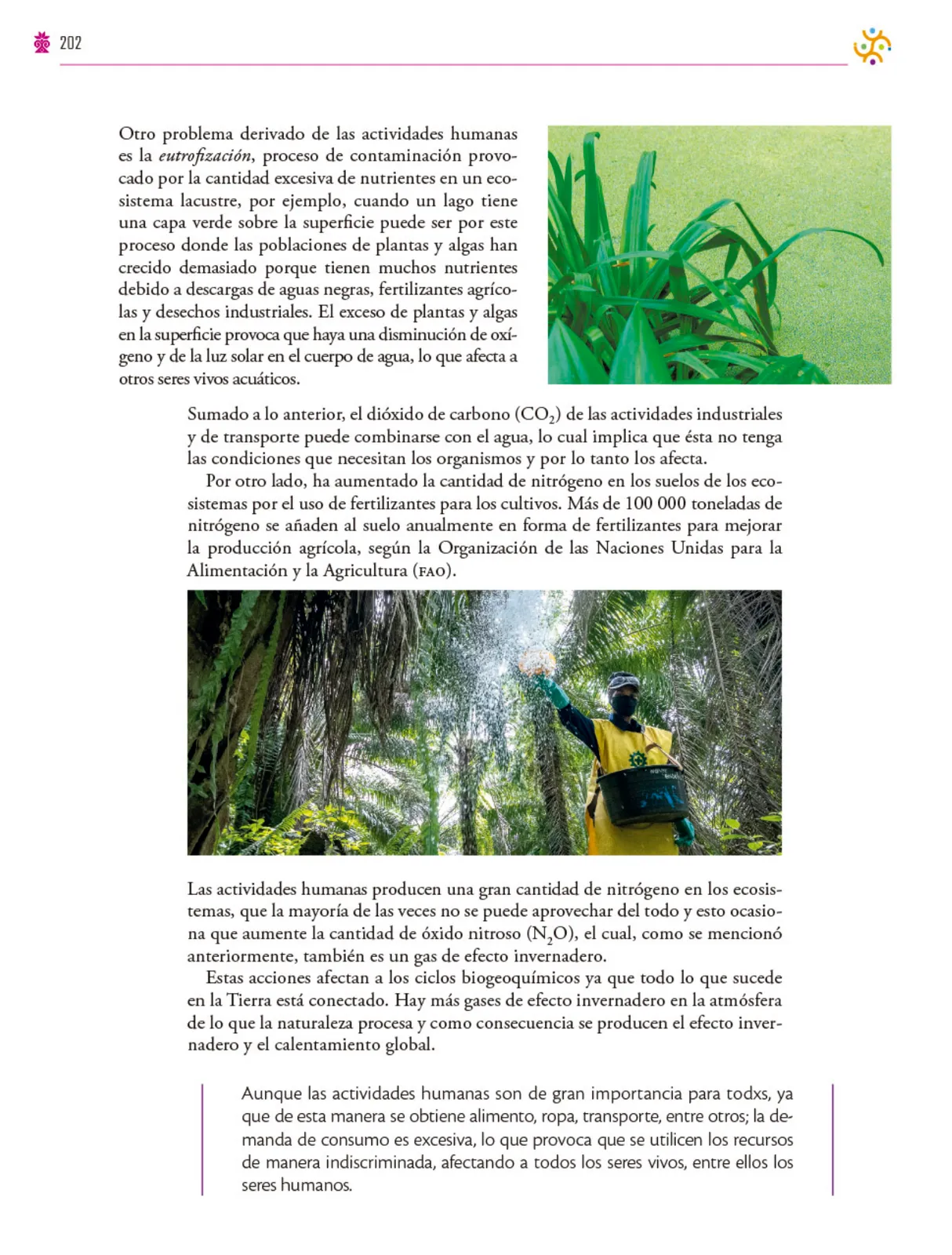 Miniatura página 203 de Colección Ximhai. Saberes y pensamiento científico.   Libro de Educación Secundaria Grado 1°  Ciclo Escolar 2025 - 2026