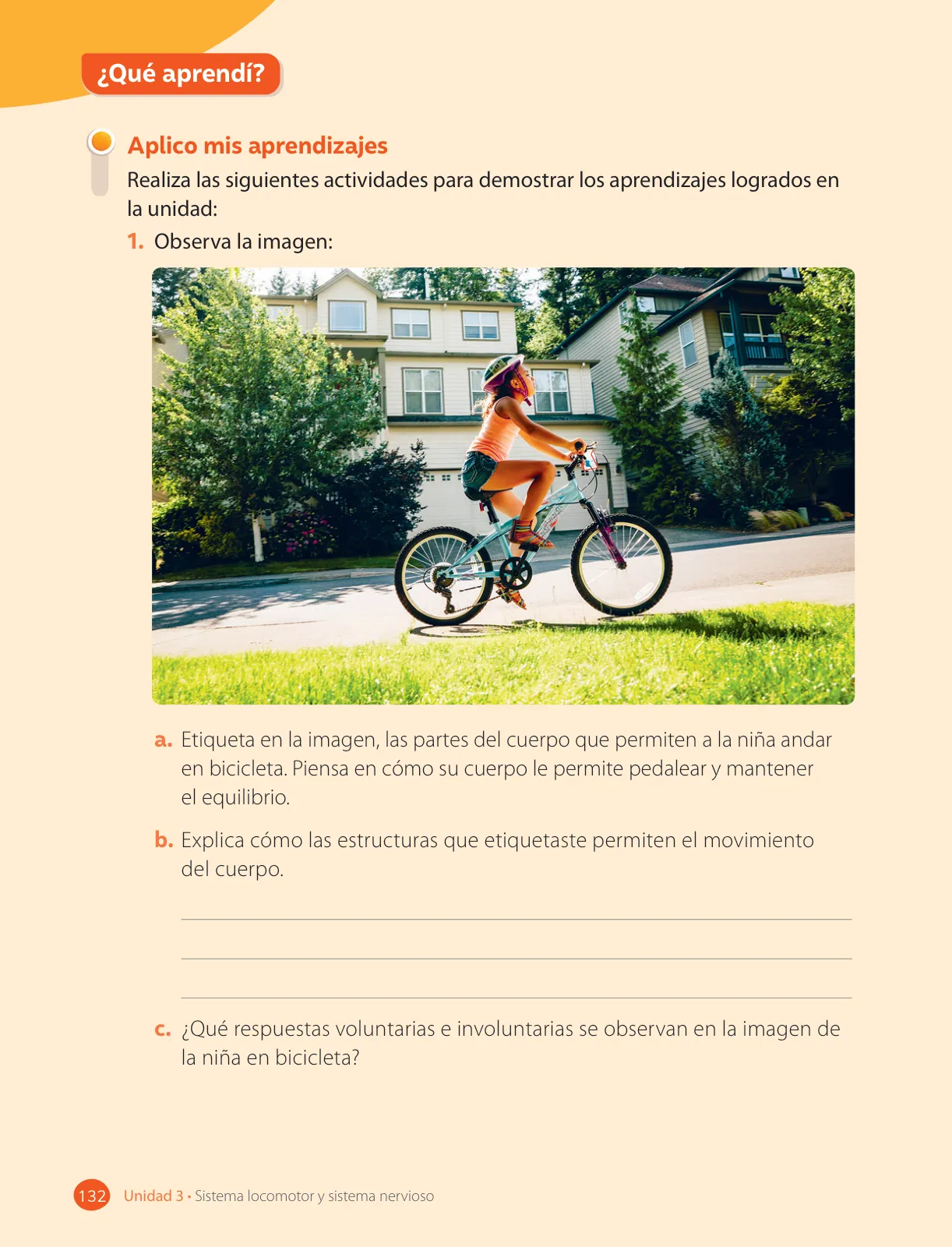Página 134 de Ciencias Naturales – Cuarto Básico | Texto del Estudiante MINEDUC – Descargar PDF · 2024