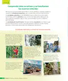 Miniatura página 199 de Ciencias Naturales – Cuarto Básico | Texto del Estudiante MINEDUC – Descargar PDF · 2024