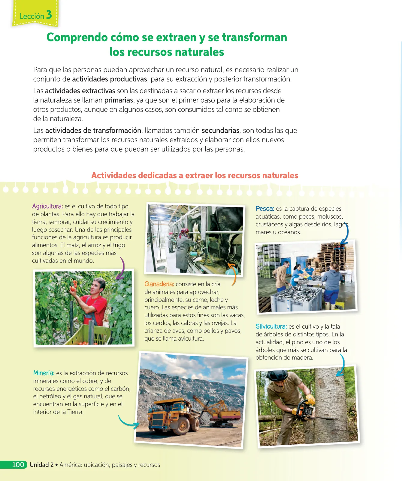 Miniatura página 199 de Ciencias Naturales – Cuarto Básico | Texto del Estudiante MINEDUC – Descargar PDF · 2024